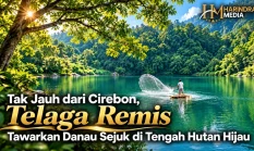 Tak Jauh Dari Cirebon, TELAGA REMIS Tawarkan Danau Sejuk di Tengah Hutan Hijau